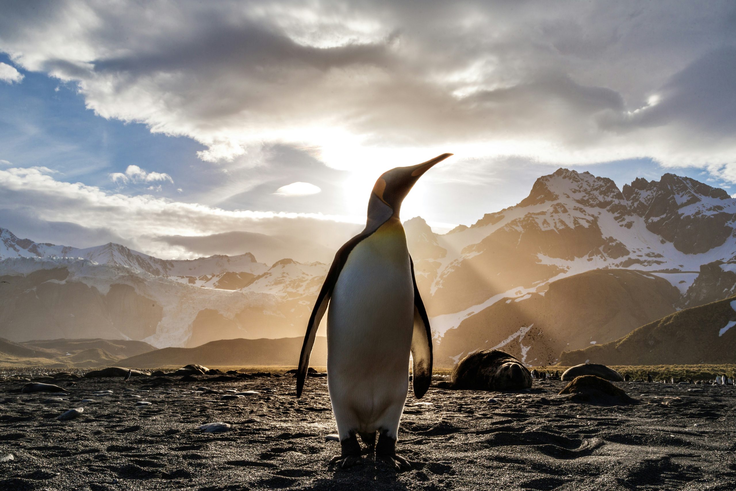 ian-parker-TLcLDigmTKE-unsplash