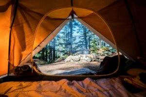 Camping in Turkey in a forest