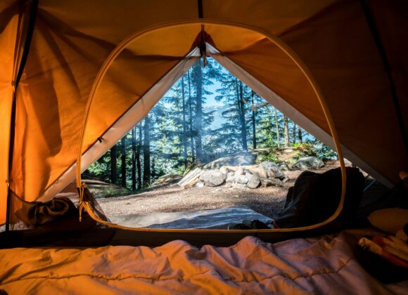 Camping in Turkey in a forest