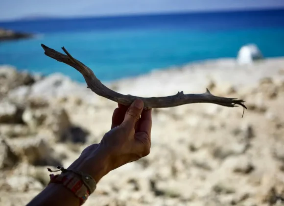 A hand holding driftwood by the sea, symbolizing a new direction and the journey of a career change.