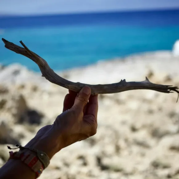 A hand holding driftwood by the sea, symbolizing a new direction and the journey of a career change.